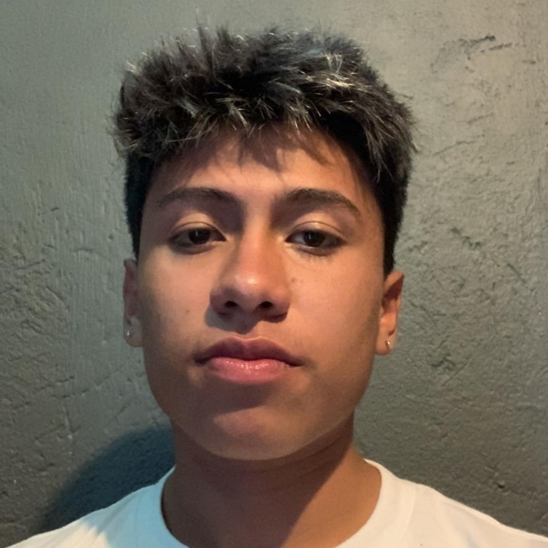 User Image